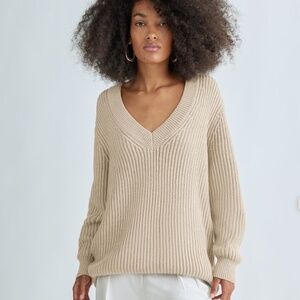 Aritzia Roger Sweater
